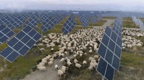 【電廠】2018年水電再次霸屏央視 水光互補(bǔ)項(xiàng)目閃亮登場(chǎng)！【電廠】2018年水電再次霸屏央視 水光互補(bǔ)項(xiàng)目閃亮登場(chǎng)！ 行業(yè)資訊 第6張
