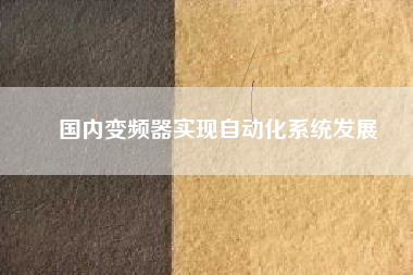 國內(nèi)變頻器實(shí)現(xiàn)自動化系統(tǒng)發(fā)展