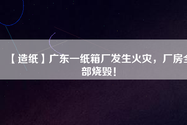 【造紙】廣東一紙箱廠發(fā)生火災(zāi)，廠房全部燒毀！