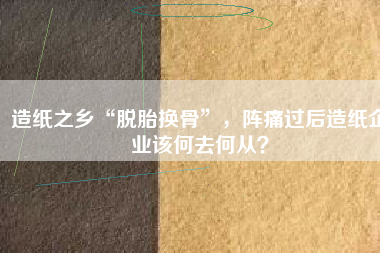 造紙之鄉(xiāng)“脫胎換骨”，陣痛過(guò)后造紙企業(yè)該何去何從？