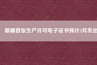 新疆首張生產(chǎn)許可電子證書預計3月發(fā)出