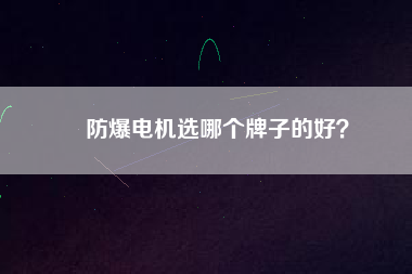 防爆電機(jī)選哪個牌子的好？