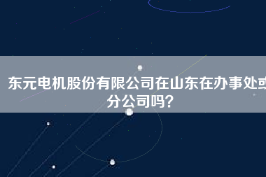 東元電機(jī)股份有限公司在山東在辦事處或分公司嗎？