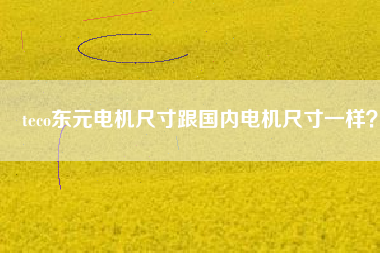 teco東元電機(jī)尺寸跟國(guó)內(nèi)電機(jī)尺寸一樣？