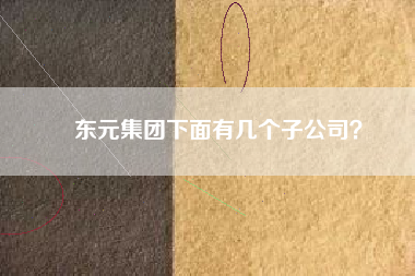 東元集團(tuán)下面有幾個(gè)子公司？
