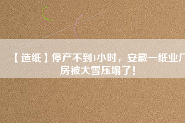 【造紙】停產(chǎn)不到1小時，安徽一紙業(yè)廠房被大雪壓塌了！
