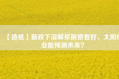 【造紙】新政下溶解漿前景看好，太陽紙業(yè)能預(yù)測未來？