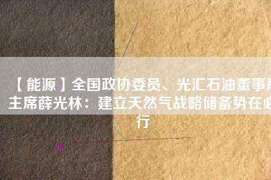 【能源】全國政協(xié)委員、光匯石油董事局主席薛光林：建立天然氣戰(zhàn)略儲備勢在必行