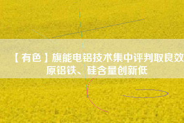 【有色】旗能電鋁技術(shù)集中評判取良效 原鋁鐵、硅含量創(chuàng)新低