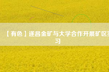 【有色】遂昌金礦與大學(xué)合作開展礦區(qū)實習(xí)