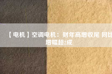 【電機】空調(diào)電機：財年高增收尾 同比增幅超2成
          