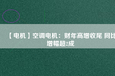 【電機】空調(diào)電機：財年高增收尾 同比增幅超2成
          