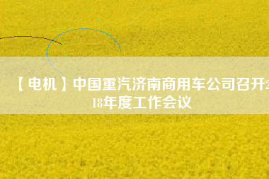 【電機(jī)】中國(guó)重汽濟(jì)南商用車(chē)公司召開(kāi)2018年度工作會(huì)議
          