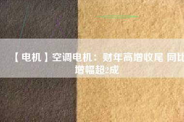 【電機】空調(diào)電機：財年高增收尾 同比增幅超2成
          