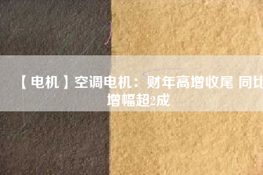 【電機】空調(diào)電機：財年高增收尾 同比增幅超2成
          