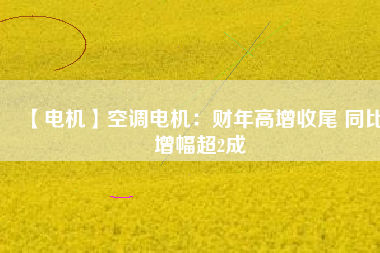 【電機】空調(diào)電機：財年高增收尾 同比增幅超2成
          