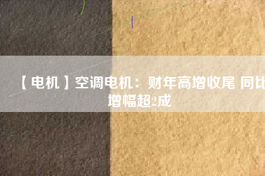 【電機】空調(diào)電機：財年高增收尾 同比增幅超2成
          