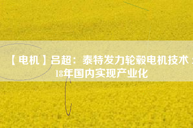 【電機(jī)】呂超:泰特發(fā)力輪轂電機(jī)技術(shù) 2018年國(guó)內(nèi)實(shí)現(xiàn)產(chǎn)業(yè)化