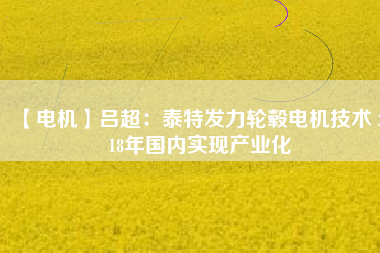 【電機(jī)】呂超:泰特發(fā)力輪轂電機(jī)技術(shù) 2018年國(guó)內(nèi)實(shí)現(xiàn)產(chǎn)業(yè)化