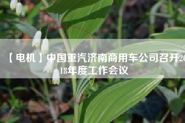 【電機(jī)】中國重汽濟(jì)南商用車公司召開2018年度工作會(huì)議